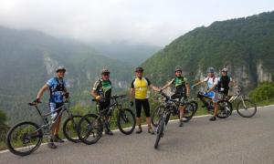 aa